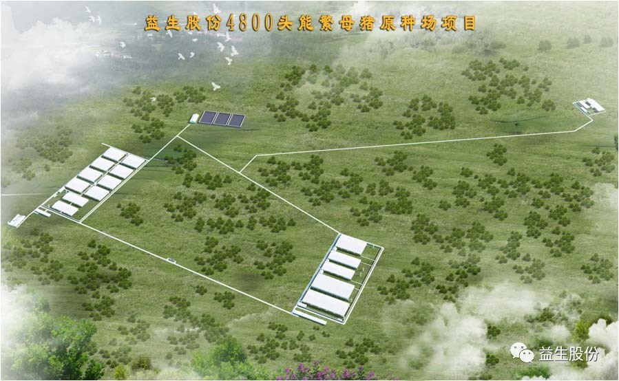 【喜訊】黑龍江益生種豬繁育有限公司原種豬場建設項目開工