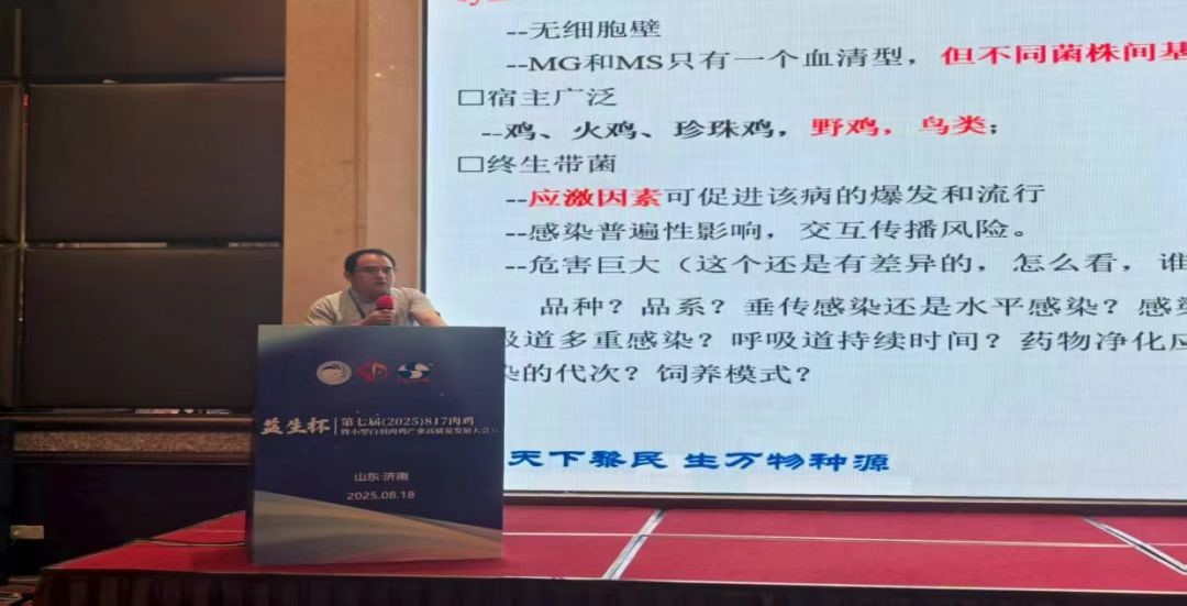 微信圖片_20250823142426.jpg 微信圖片_20250823142426.jpg